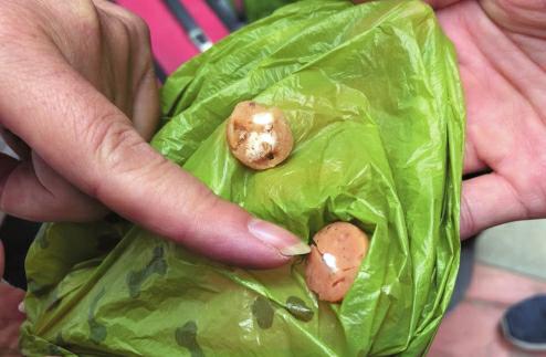 微信图片_20181015085914.jpg?x-oss-process=style/w10